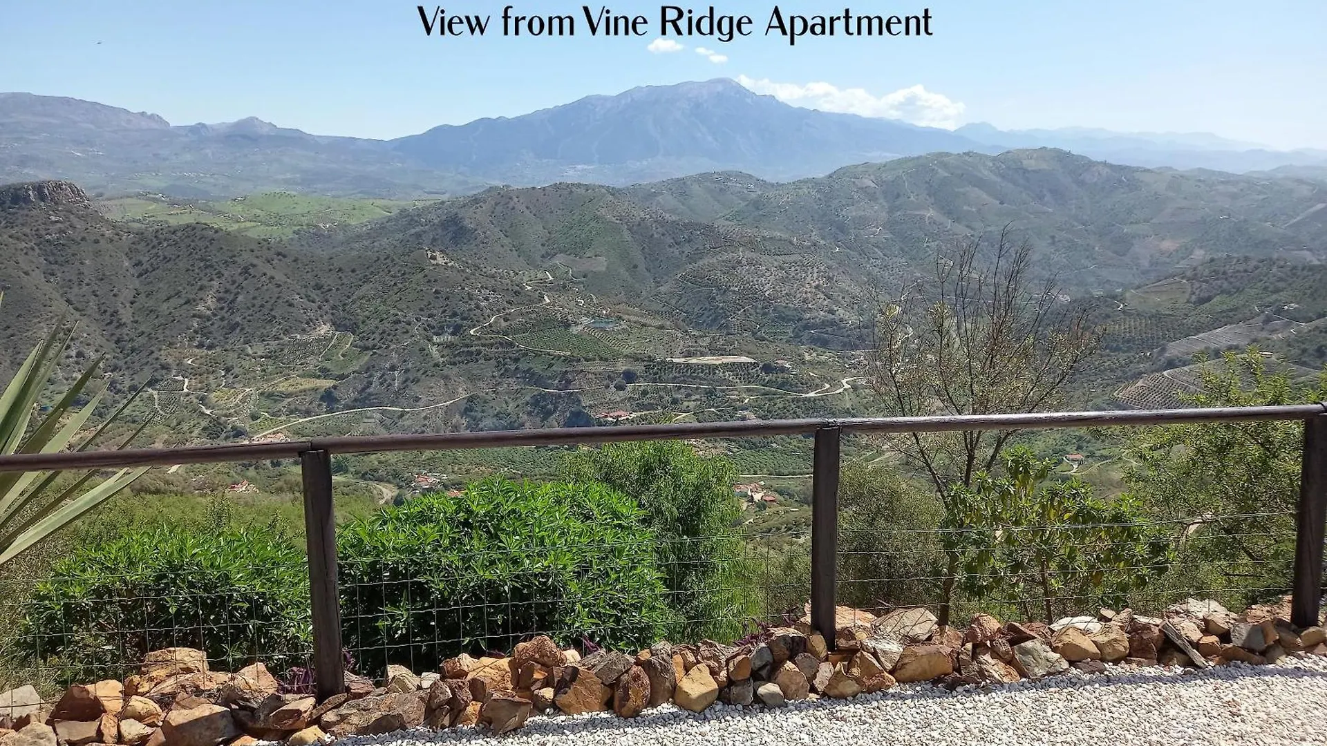Vine Ridge Studio And Apartment Comares
