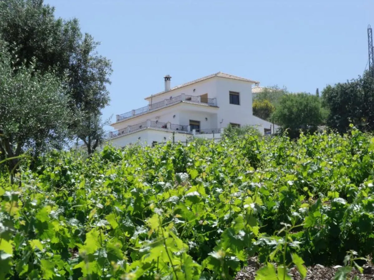 Vine Ridge Studio And Apartment Comares