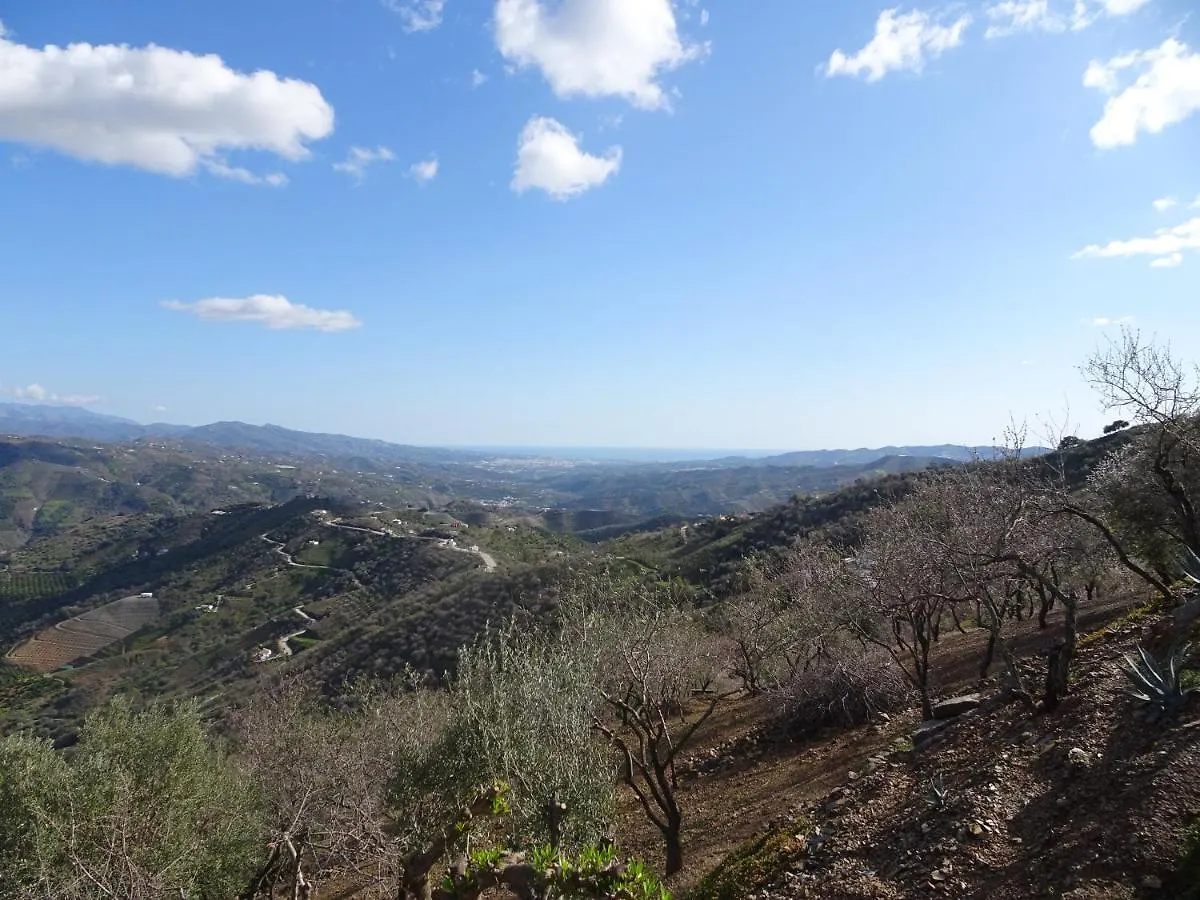 Vine Ridge Studio And Apartment Comares